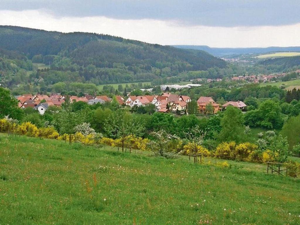 Gartenhaus - Dietzhaeuschen Suhl Exteriér fotografie