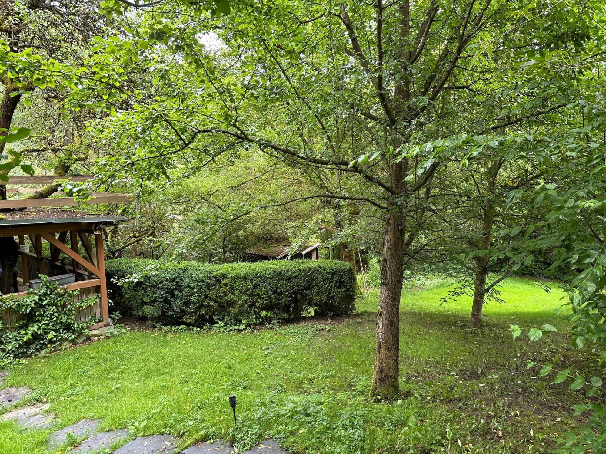Gartenhaus - Dietzhaeuschen Suhl Exteriér fotografie